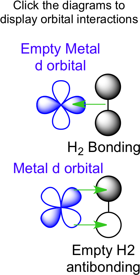 Hydrogen Orbitals - Dihydrogen Ligand Clipart (506x975), Png Download