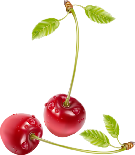 Cherrys Realistic Clipart (565x650), Png Download