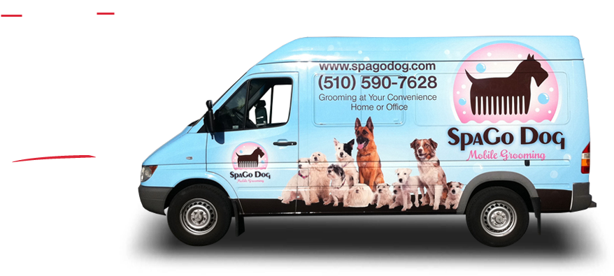 Compact Van Clipart (980x452), Png Download