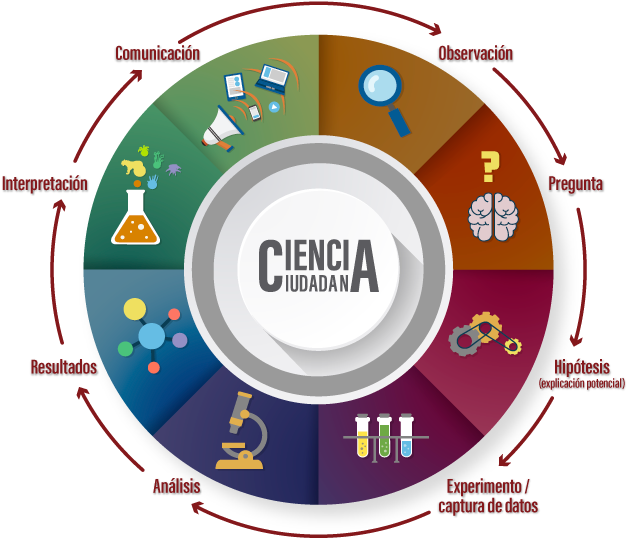 El Círculo Virtuoso De La Ciencia Ciudadana - Circle Clipart (650x583), Png Download