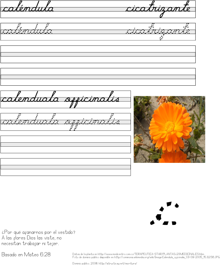 Plante Pe Cale De Disparitie Clipart (765x990), Png Download