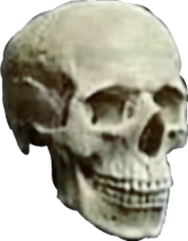 #skull #skulls #skeleton #head #heavymetal #heavy #metal - Skull Clipart (656x840), Png Download