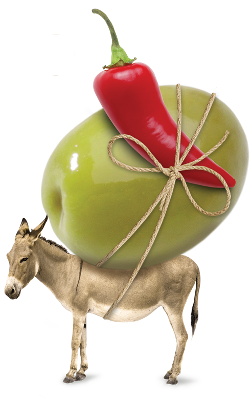 Ingredients - - Donkeys Png Clipart (500x778), Png Download