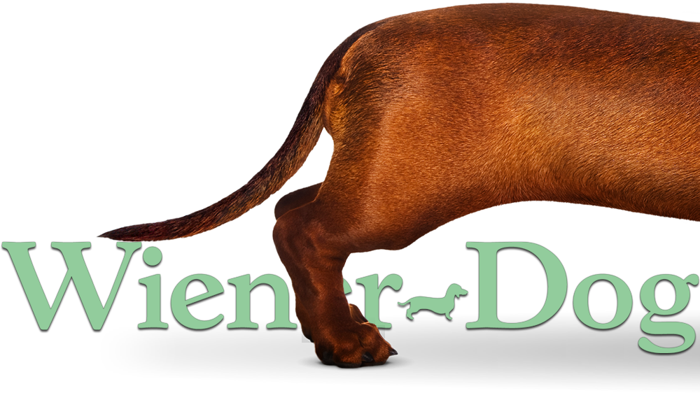 Wiener-dog Image - Water Buffalo Clipart (1000x562), Png Download