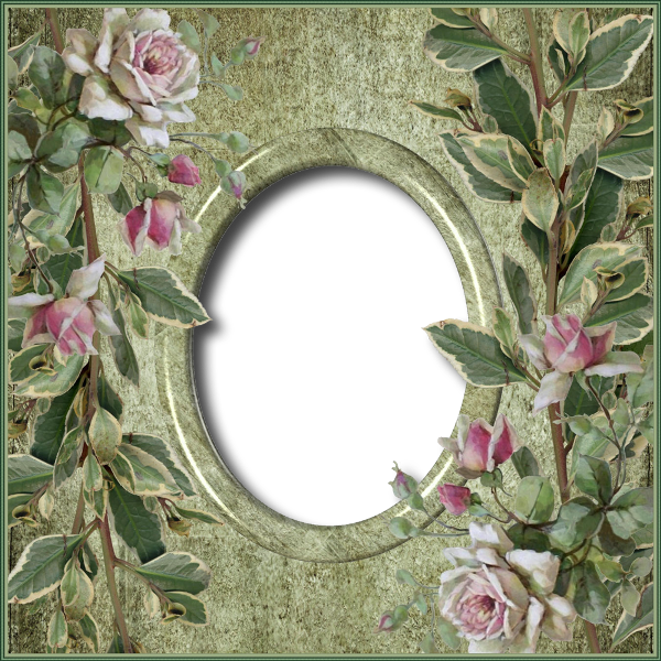 Nm Moldura 30 04 - Garden Roses Clipart (600x600), Png Download