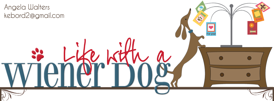 Cartoon Clipart (950x350), Png Download