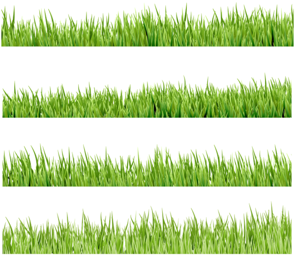 Флора, Зеленая Трава, Green Grass - Sweet Grass Clipart (600x518), Png Download