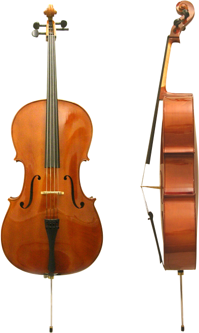 Dz Strad 101 Cello Clipart (465x705), Png Download