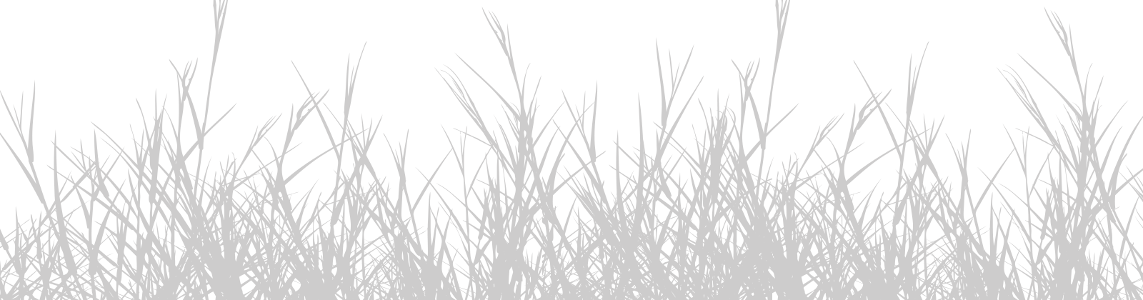 Grass Clipart (1600x420), Png Download