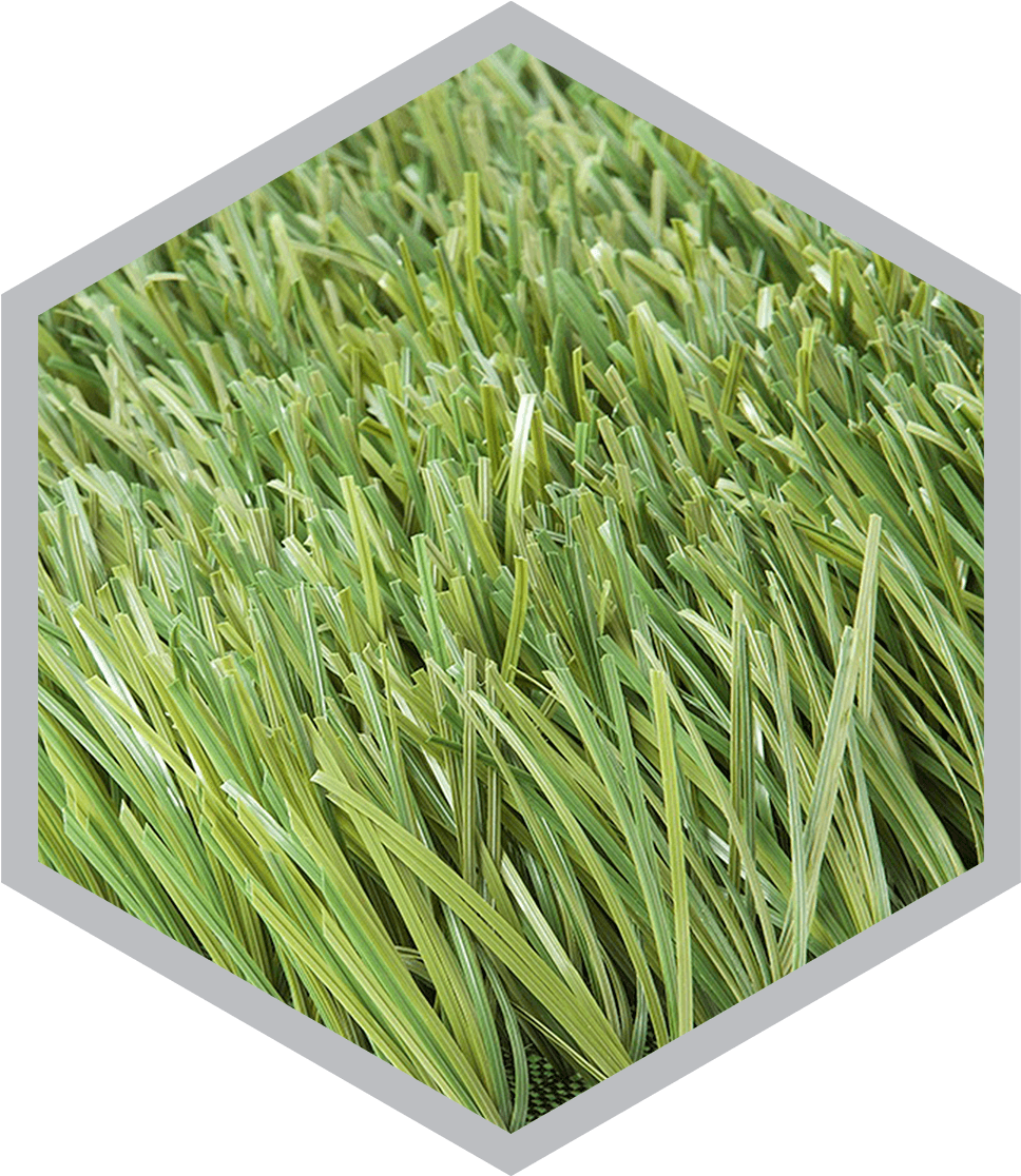 Tg Sports Advanced Monofilamento - Sweet Grass Clipart (1000x1194), Png Download