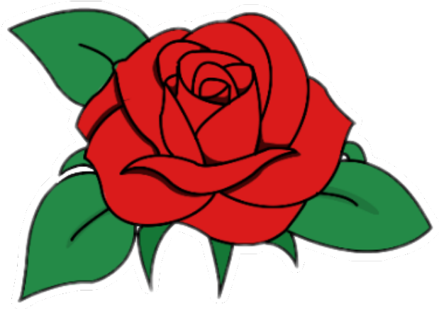 #rosa #rosas #rosas🌹 #flor #flores #floricienta - Garden Roses Clipart (1024x1024), Png Download