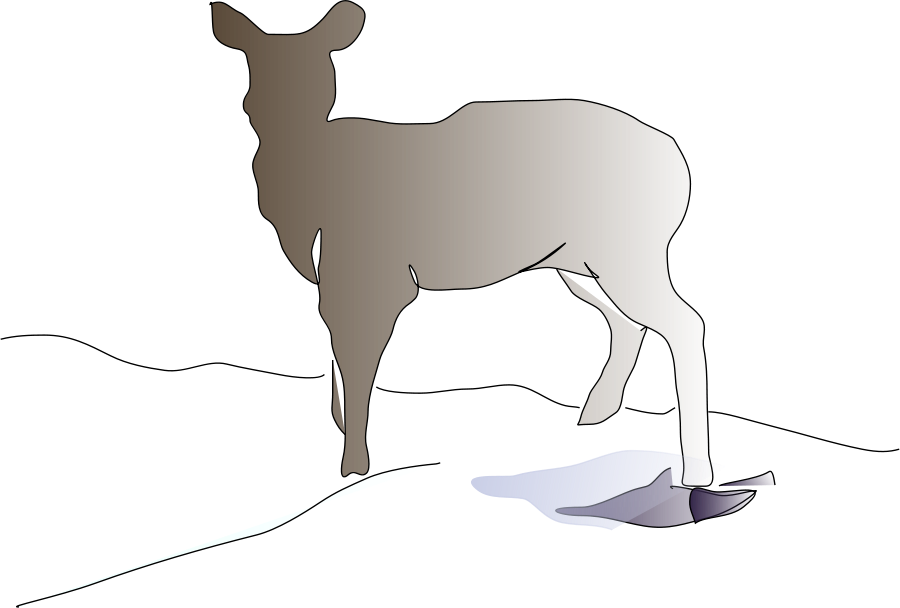 Deer Clipart Png - Vector Graphics Transparent Png (900x608), Png Download
