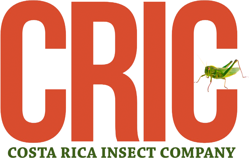 Products - Graphic Design Clipart (1000x626), Png Download