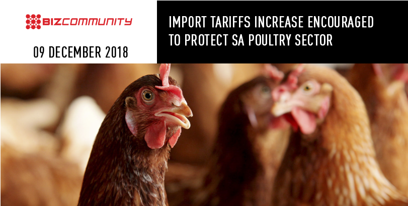 News - Turkey Clipart (900x469), Png Download