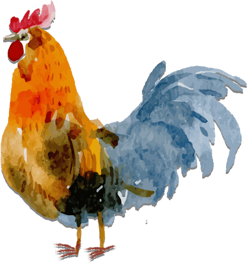 Hen Images Png - Farm Elements Watercolor Clipart (640x640), Png Download