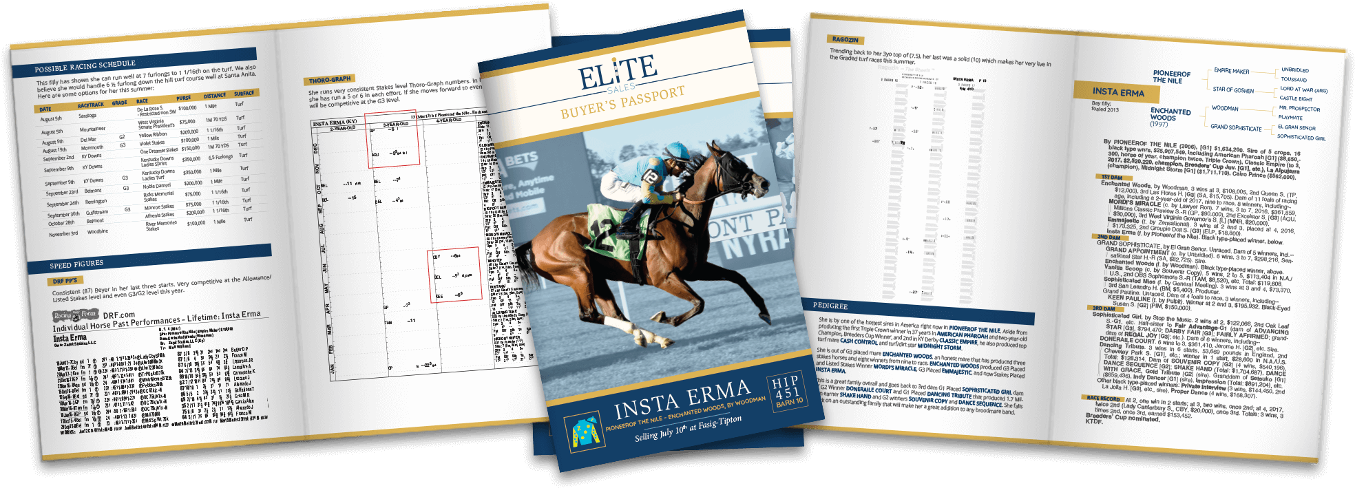 Buyers Passports Header - Stallion Clipart (1988x720), Png Download