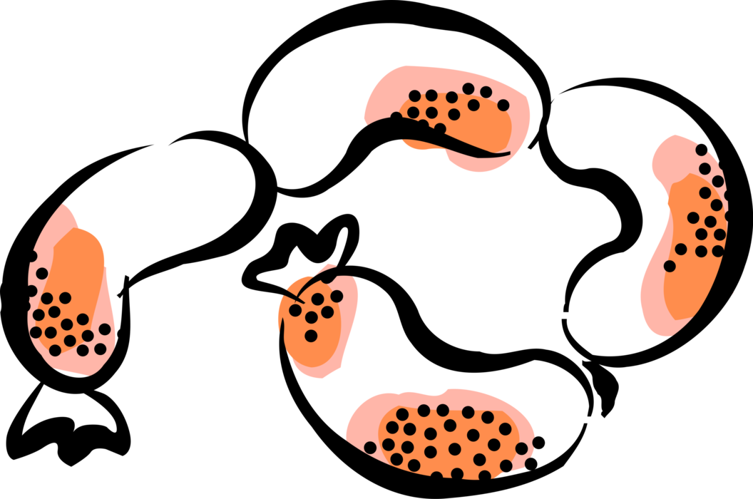 Vector Illustration Of German Bratwurst Oktoberfest Clipart (1056x700), Png Download