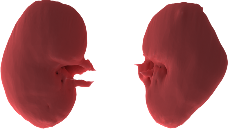 Load In 3d Viewer Uploaded By Anonymous - Illustration Clipart (960x442), Png Download