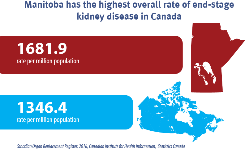 This Year's Reporting Features Data From 2006 To 2015 - Kidney Disease Statistics 2017 Clipart (834x521), Png Download