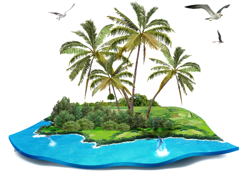 Isla Tropical Modelo Png Transparente - Coconut Tree Png Images With Transparent Background Clipart (799x578), Png Download
