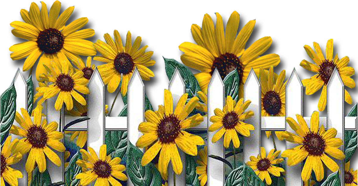 Granny Enchanted's Blog - Sunflower Letter P Clipart (1200x1480), Png Download