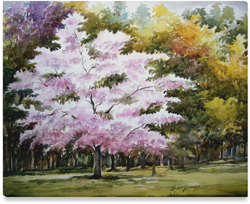 Beauty Of Autumn Forest - Painting Clipart (799x799), Png Download