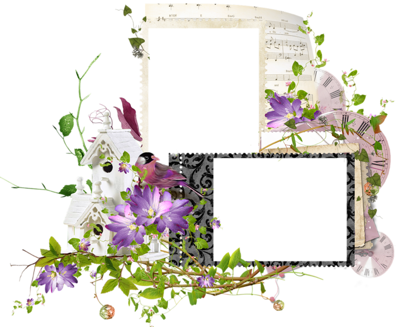 Scrapbook Frames, Printable Frames, Double Frame, Le - Double Picture Frame Transparent Design Clipart - Png Download (800x661), Png Download