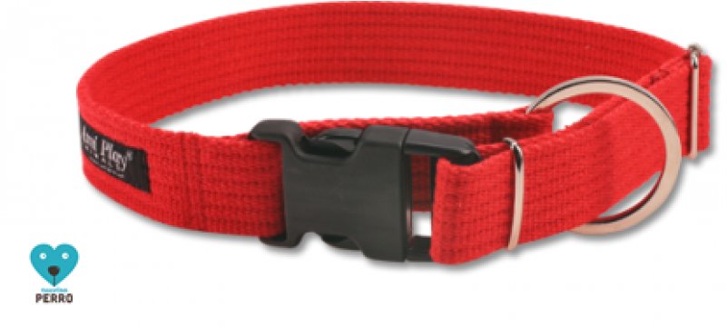 Collar, Para Perros, De Algodón, Ecológico, Anti Alérgico, - Buckle Clipart (800x800), Png Download