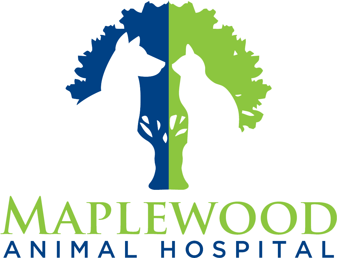 Logo Logo - La Management Clipart (1145x855), Png Download