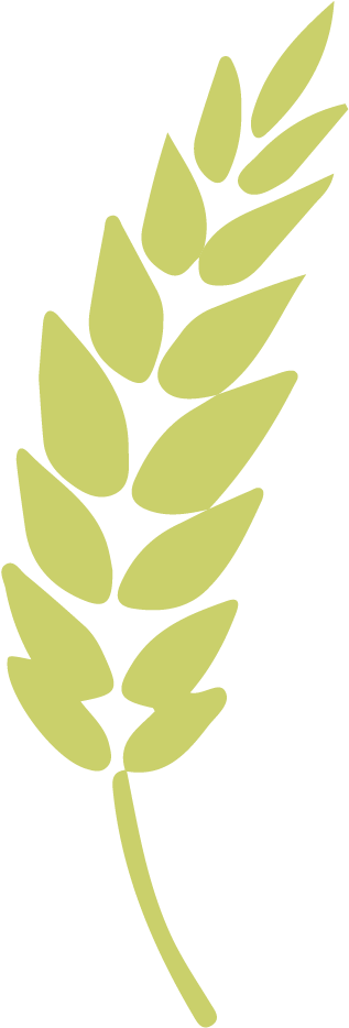 Trigo Blando - Twig Clipart (1005x1001), Png Download