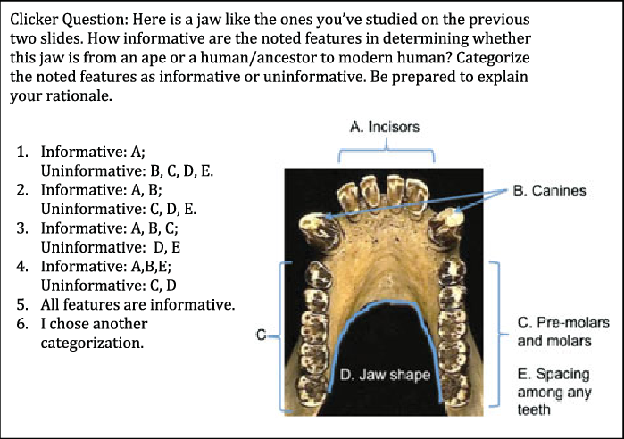Jaw Analysis Question From A Case Study On Human Evolution - Strepsirhine Mandibular Dental Arcade Clipart (699x492), Png Download