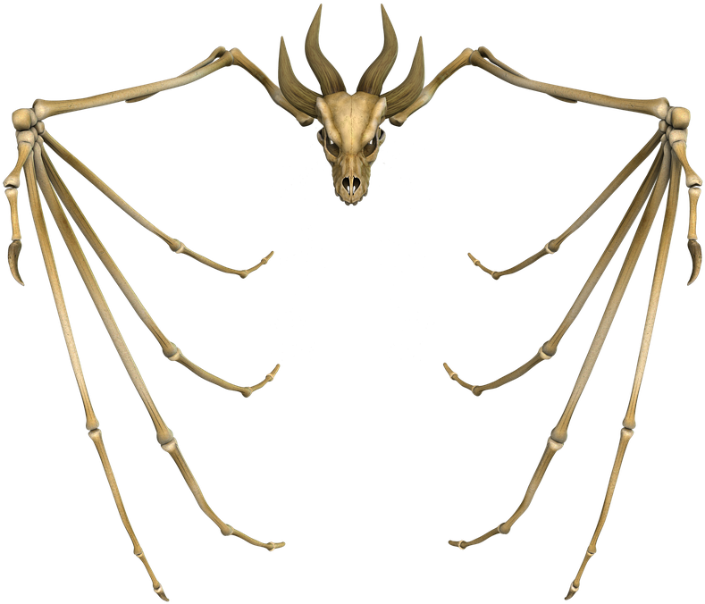 Dragon, Bone, Skull, Monster, Animal, Skeleton, Ancient - Dragon Skull Png Clipart (814x720), Png Download