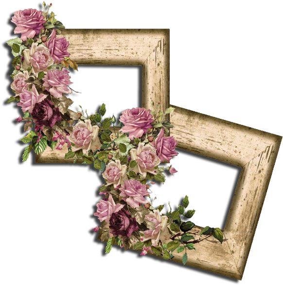 Nm Moldura 10 05 - Garden Roses Clipart (600x600), Png Download