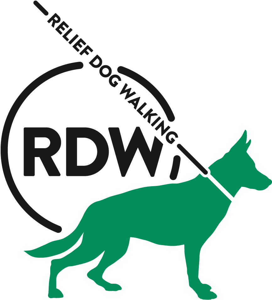Relief Dog Walking - Dog Catches Something Clipart (1080x1080), Png Download