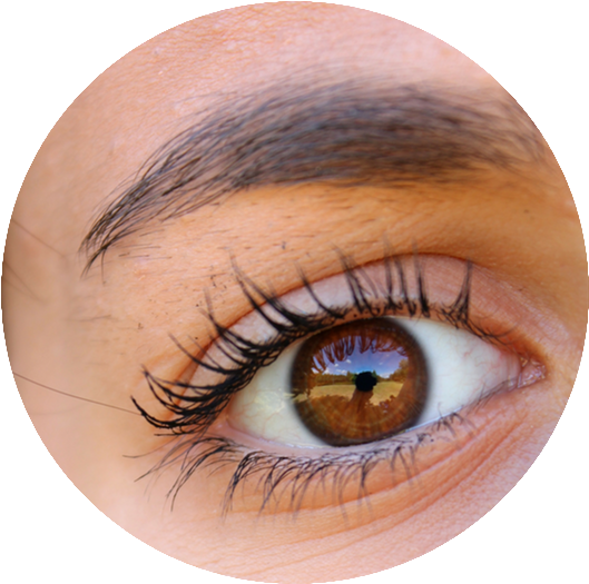 Rizado De Pestañas - Microblading Offer Clipart (600x600), Png Download