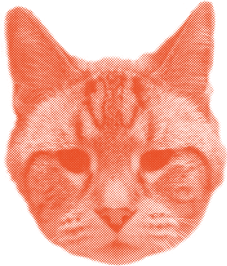 Tabby Cat Clipart (700x700), Png Download