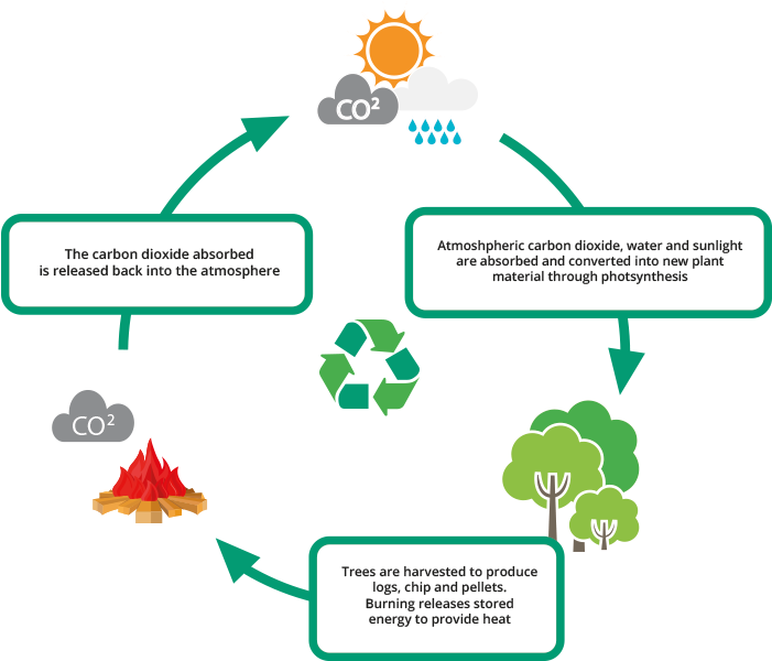 Is It Cheaper To Use Fire Wood - Carbon Cycle Burning Wood Clipart (700x627), Png Download