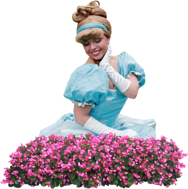 Cenicienta-02 - Днем Рождения 20 Лет Clipart (643x646), Png Download