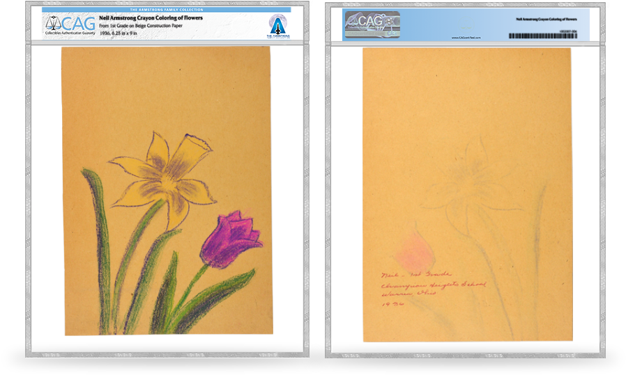 Early Life - Iris Clipart (950x600), Png Download