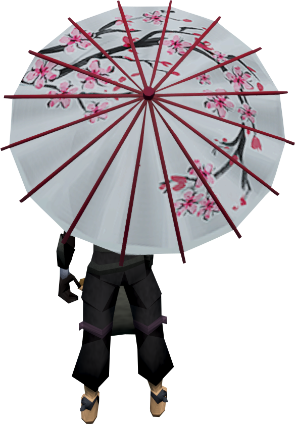 Cherry Blossom Parasol Clipart (584x840), Png Download