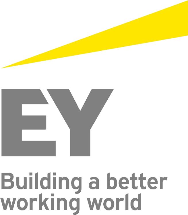 Ey Logo13 - Ernst And Young Logo Png Clipart (700x784), Png Download