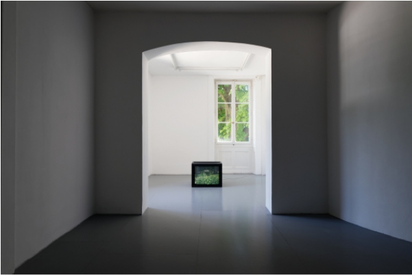 «first Star, Last Snowflake Gaëlle Boucand, Edouard - Floor Clipart (600x600), Png Download