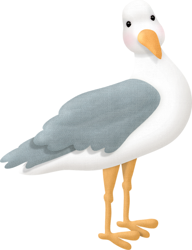 Яндекс - Фотки - Gaviota Dibujo Clipart (617x800), Png Download