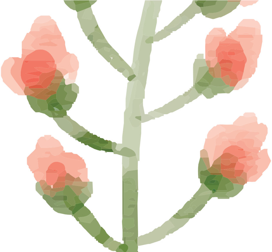 Free Watercolor Flower Images Peach Delight Free Pretty - Garden Roses Clipart (1368x855), Png Download