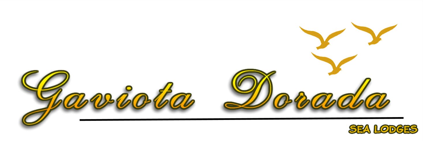 Cropped Logo Final - Calligraphy Clipart (1466x489), Png Download