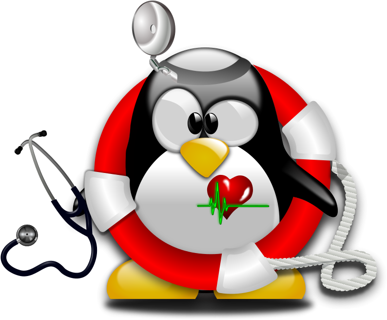 Pilot Tux Linux Clipart (800x656), Png Download
