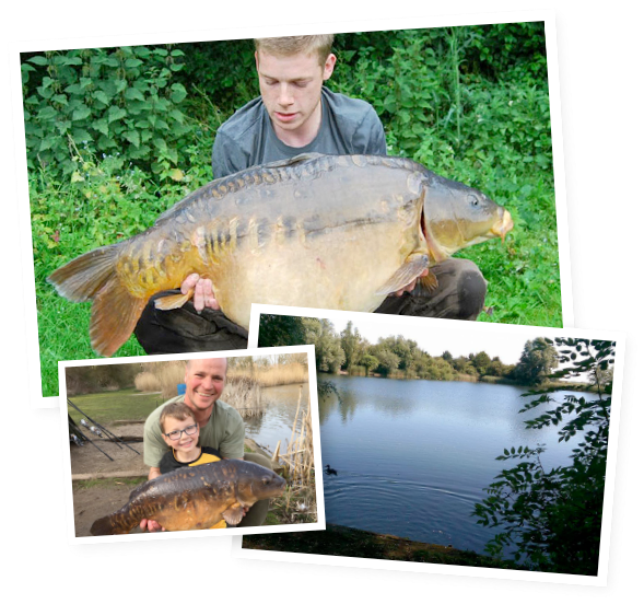 Of Premium Carp - Pacific Sturgeon Clipart (600x555), Png Download