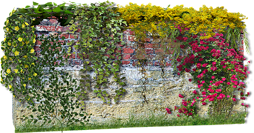 Enredaderas Png Para Photoshop Clipart (850x446), Png Download