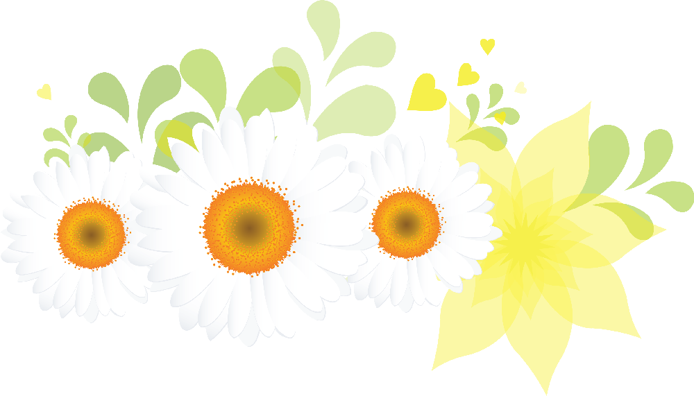 Flores - - Daisy Clipart (1000x571), Png Download