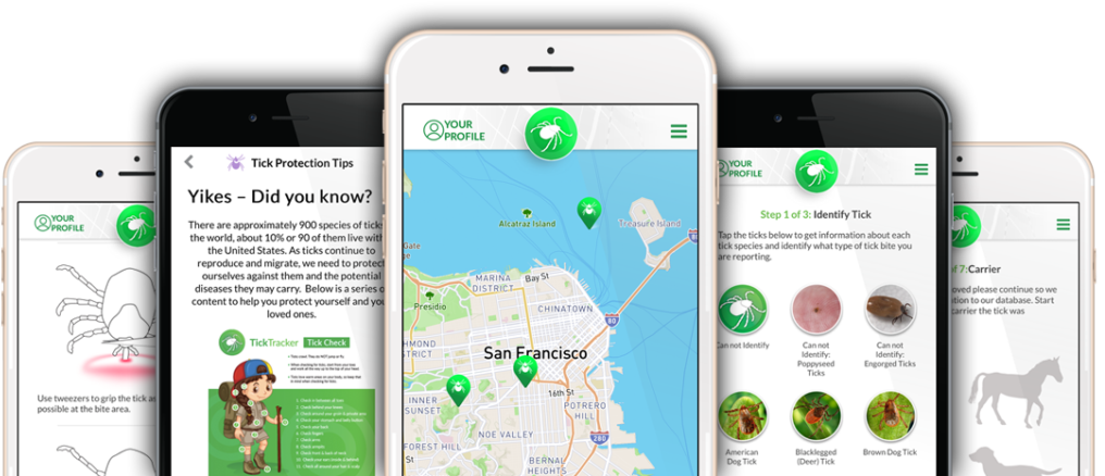 Iphone Clipart (1024x445), Png Download